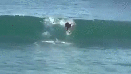 wave,shit