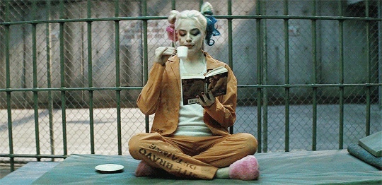 harley quinn,suicide squad
