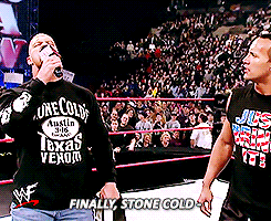 stone cold steve austin,wrestling,the rock