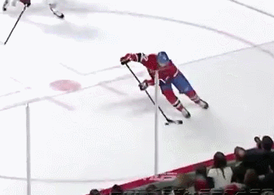 hockey,fan,hit