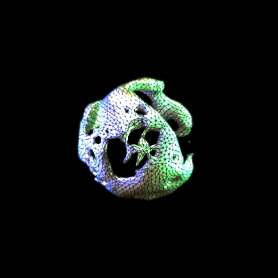 design,art,animation,3d,c4d,cinema 4d,yeppie,i learned today,turtle power,luminescent