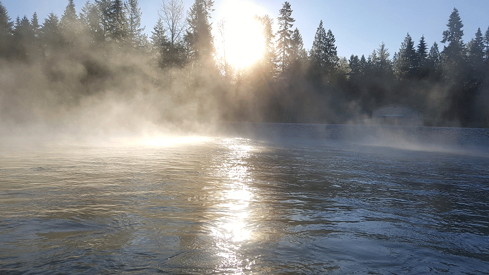 Звуки плывем по реке. Туман стелется. Туман над рекой. Туман над водой. Туман на реке.