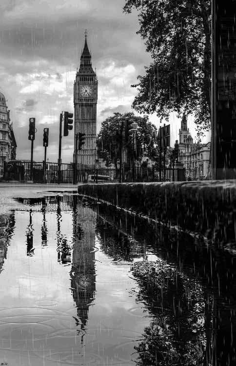 london,black and white,big ben
