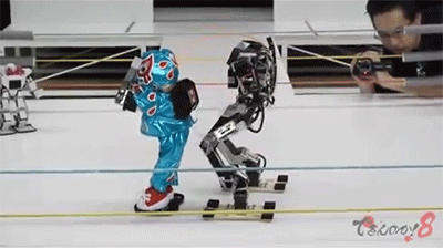 robots,wrestling