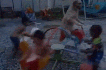 dog,playing,children
