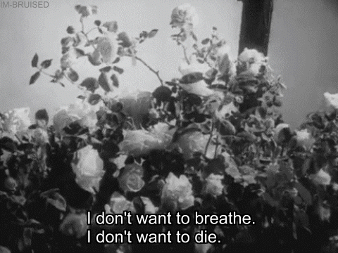 sad,love,vintage,death,flowers