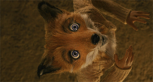 fantastic mr fox,wes anderson,mm