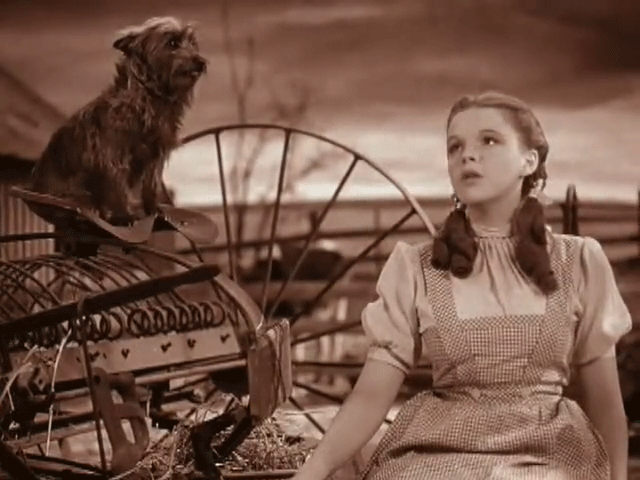 wizard of oz,cinemagraph,animation,movies,film