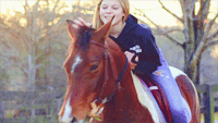 kiss,horse