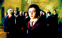 harry potter,hp,the post who waited