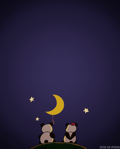 night,panda,stars,black,white