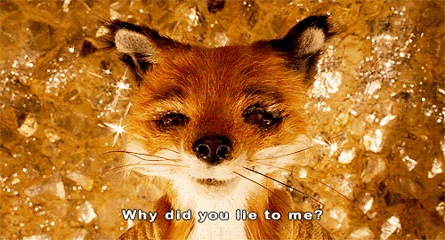 sad,movie,wes anderson,fantastic mr fox