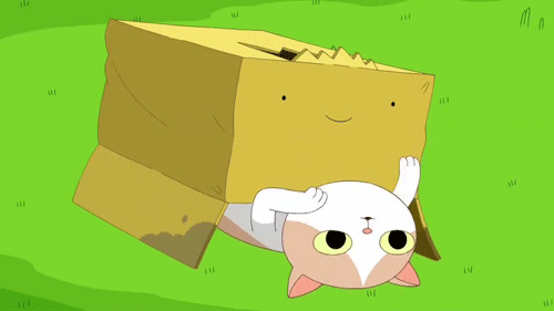 cat,cute,adventure time,box prince,this episode omg