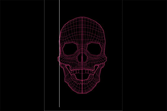 skull,3d skull