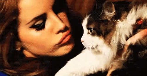 cat,animals,kiss,kitty,kitten,lana del rey
