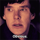 sherlock,movies,i am on holiday,this is a queue