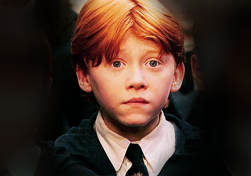 harry potter,ss,ron