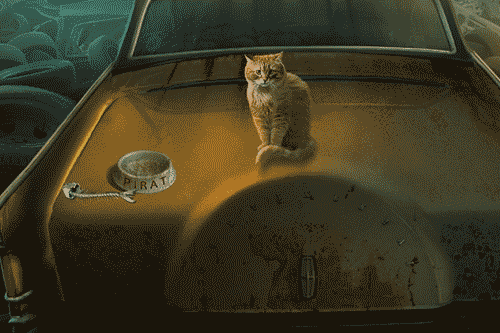 Cat kitty cat on car GIF.