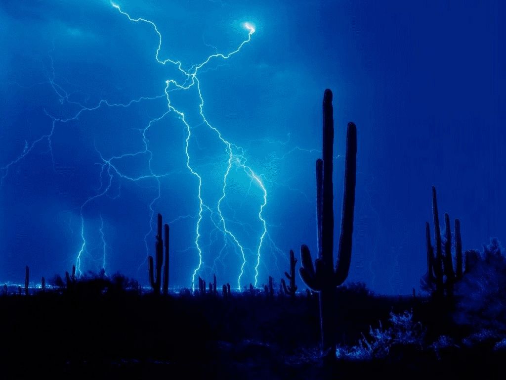 desert,lightening,storm,cactus,storming