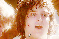 blowjob,lord of the rings,frodo,elijah wood,reactiongifs,drunk,time,amazed,happy,mrw