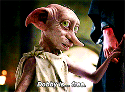 dobby is free,harry potter,dobby,warning,fedex,package,not mine,not that kind