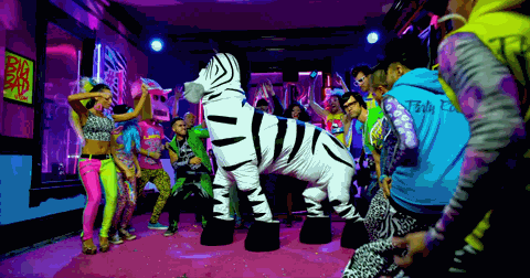 party,party hard,carnival,carnaval,zebra,running man,friday