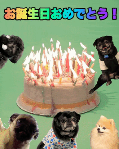 Happy Birthday GIF Cat Dog Cake download | B'day GIF for him and her