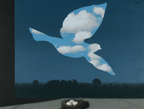 rene magritte,bird,clouds,magritte,flying,pigeon,egg,sky,fly,eggs,konczakowski,cloudy,fly by,clud