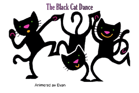 Танцующие котики гиф. Анимационные кошки. Котик пляшет. Танцующая кошка. Танцующий черный кот.
