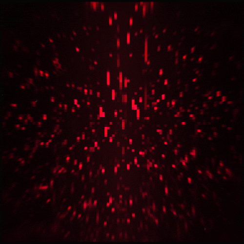 Red abstract black GIF on GIFER - by Kat