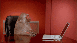office,office monkey,monkey,story