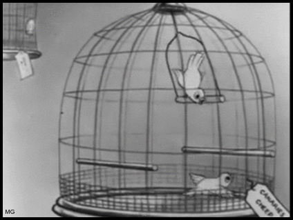 bird cage,disney,minnie mouse,animation,cute,cartoon,comics,birds,walt disney,swing,1933,the pet store,canaries