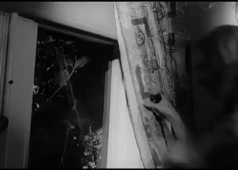 horror,paranoid,window,1960s,night of the living dead,george romero