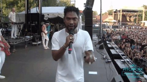 wink,pitchfork music festival,miguel,for the camera