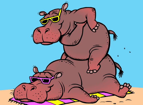 sun,sweat,use,protection,hippos