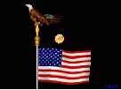 eagle,flag,independence,animation,fireworks,animations,july,firework
