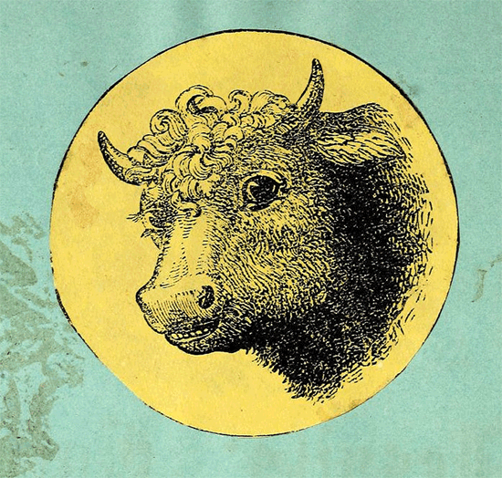 cow,spinning,winking,drawing,yellow,archive,vintage,illustration,green,new orleans,loyola,rare books