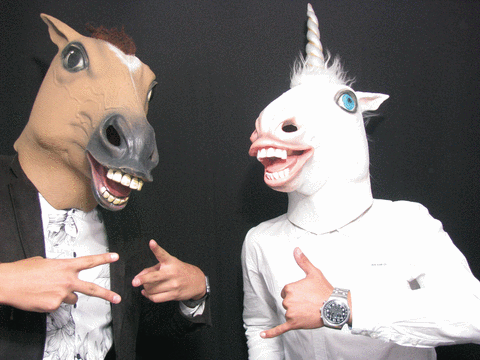 horse,photobooth,photoshow
