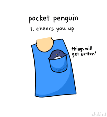 support,motivation,penguin,animal,compliments,awh,pocket penguin