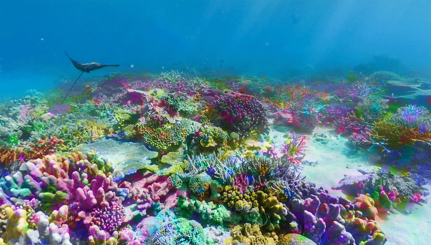 Немо тихий океан. Большой Барьерный риф. Большой Барьерный риф Австралия. Большой Барьерный риф кораллы. Большой Барьерный риф в коралловом море.