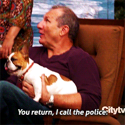 go away,dog,modern family,jay pritchett,dont come back,no more questions,you return