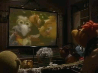 kermit,rowlf,animal,home video,scooter,miss piggy,gonzo,muppet babies,muppet family christmas,santa claus is coming to town,fozzie