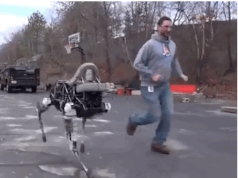 boston dynamics,skynet,robot,spot,running robot