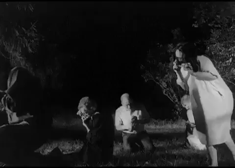 horror,zombies,eating,1960s,night of the living dead,george romero