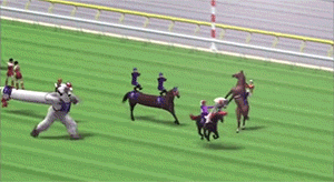 funny,weird,sports,video games,japan,world cup,buzzfeed,horse racing,japan world cup