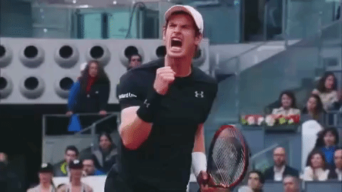 murray,celebration,tennis,andy murray,fist pump,atp,number 1