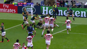 japan,elamor,rugby union