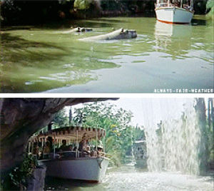 boat,animals,water,disneyland,theme park,hippo