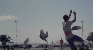 bird,fly,spinning,flip,red bull,nailed it,gifsyouwings,freerunning