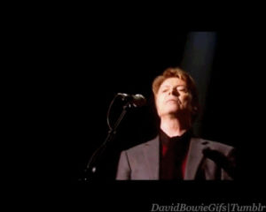 comfortably numb,celebrities,live,david bowie,00s,2006,live show